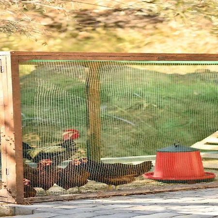 1774 Kazdagi Termal Hotel